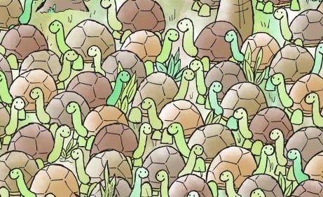 Brain teaser: Can you find the snake hiding among the tortoises?