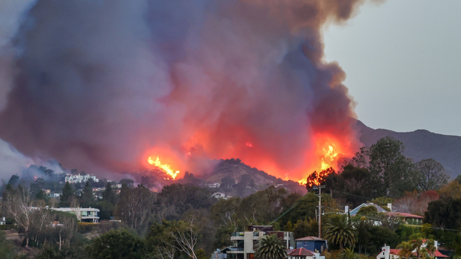 la-wildfires-donations-stars-0465.jpeg