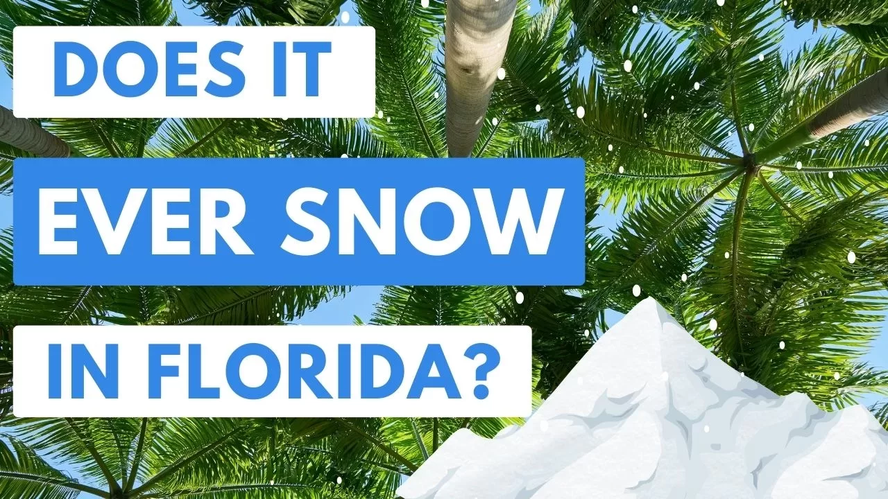 snow-when-last-in-florida-weather-historyjpg-9121.webp