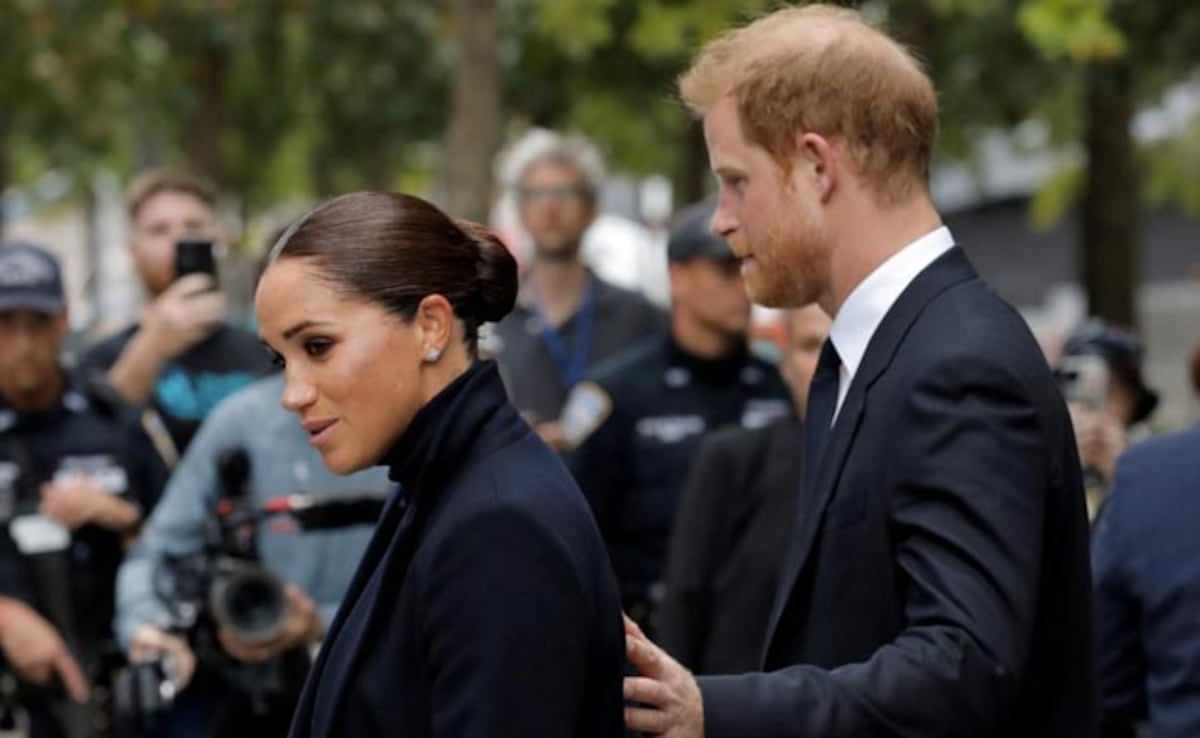 meghan-markle-prince-harry-charity-politics-2014.jpeg