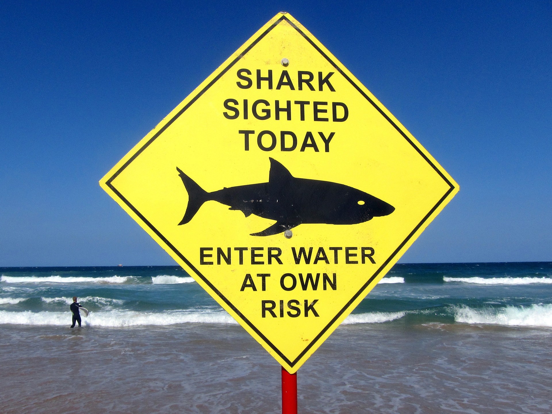 australia-shark-attack-surfer-fatality-37-3125.jpeg