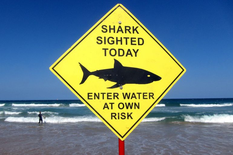 australia-shark-attack-surfer-fatality-37-5254.jpeg