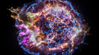 space-watch-this-space-entertainment-newsletter-sc-6664.png