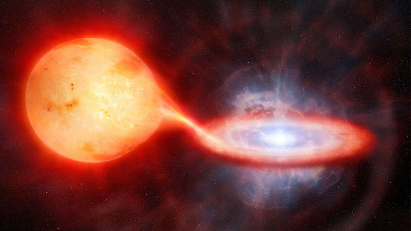 space-watch-this-space-entertainment-newsletter-sc-8231.png