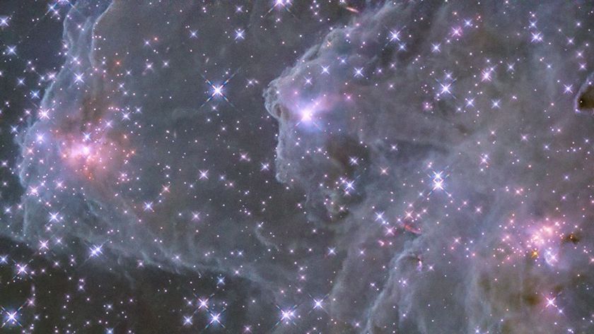 space-watch-this-space-entertainment-newsletter-sc-8961.jpeg
