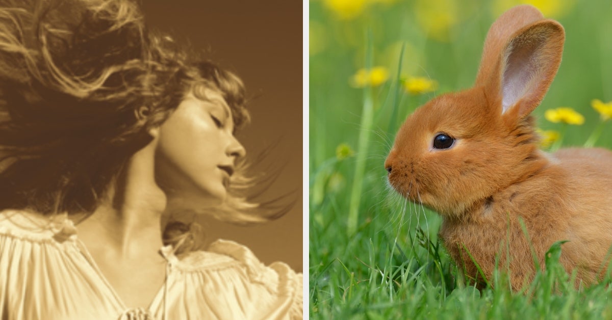 taylor-swift-eras-bunny-combo-5395.jpeg